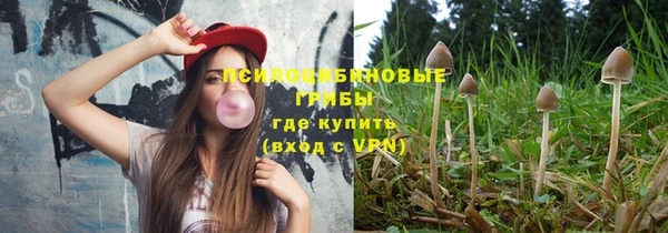 прущая мука Абаза
