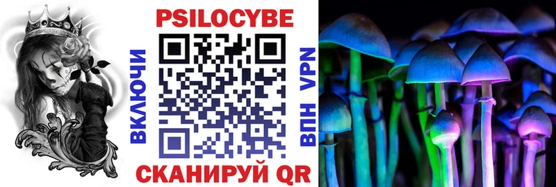 Галлюциногенные грибы Psilocybe  Иноземцево 
