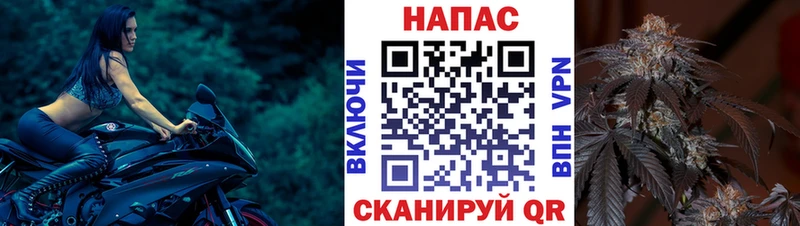 Канабис семена  Иноземцево 